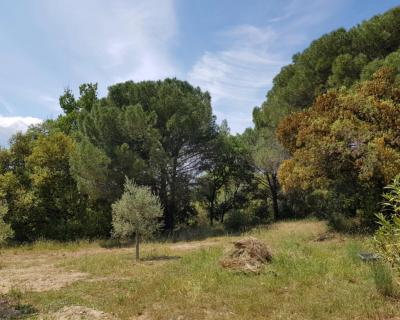 Vente Terrain Vidauban - Réf. 3893  - Mandataire immobilier Valérie Lataste - image 7