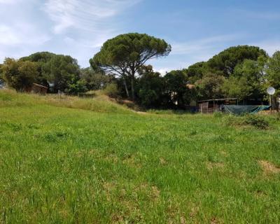 Vente Terrain Vidauban - Réf. 3893  - Mandataire immobilier Valérie Lataste - image 3