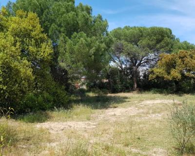 Vente Terrain Vidauban - Réf. 3893  - Mandataire immobilier Valérie Lataste - image 2