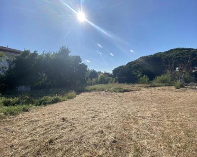 Vente Terrain Puget-sur-Argens - Réf. 7548  - Mandataire immobilier Linda Bergonzi - image 2