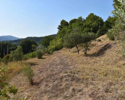 Vente Terrain Draguignan - Réf. 6122  - Mandataire immobilier Valérie Lataste - image 6