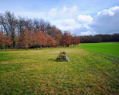 Vente Maison Germignac - Réf. 3598  - Mandataire immobilier Jean-Claude François - image 4