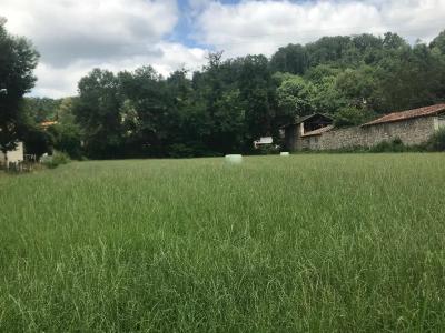 Terrain constructible 2343 m²