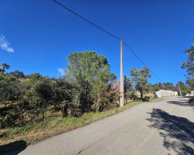 Vente Terrain constructible Vidauban - Réf. 8845  - Mandataire immobilier Stéphanie Van De Kadsye - image 4