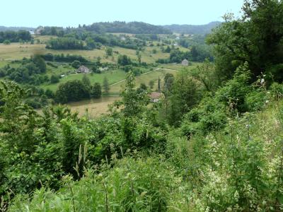 Vente Ferme Merlas - Réf. 8572  - Mandataire immobilier Azzédine Chared - image 6