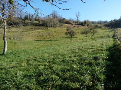 Vente Ferme Merlas - Réf. 8572  - Mandataire immobilier Azzédine Chared - image 3