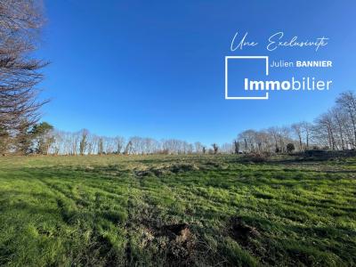 Vente Propriété Plomelin - Réf. 8724  - Mandataire immobilier Julien Bannier - image 19