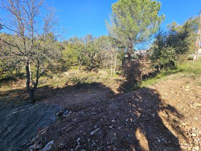 Vente Terrain constructible Vidauban - Réf. 8845  - Mandataire immobilier Stéphanie Van De Kadsye - image 2