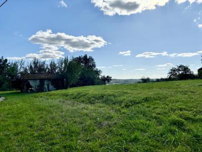 Vente Ferme Gondrin - Réf. 9848  - Mandataire immobilier Céline Haye - image 12