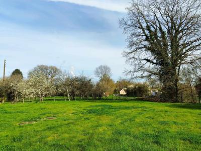 Vente Maison Beaulieu-sur-Loire - Réf. 8969  - Mandataire immobilier Jérémy Blanchard - image 8