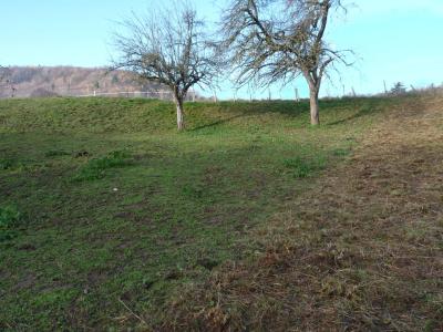 Vente Terrain constructible Saint-Geoire-en-Valdaine - Réf. 8835  - Mandataire immobilier Azzédine Chared - image 6