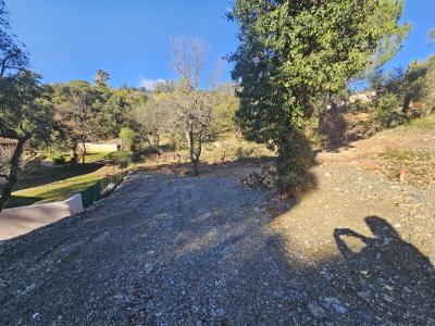 Vente Terrain constructible Vidauban - Réf. 8845  - Mandataire immobilier Stéphanie Van De Kadsye - image 3