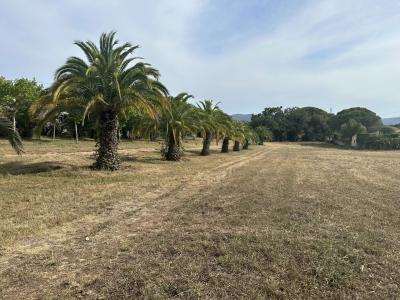 Terrain constructible 1226 m²