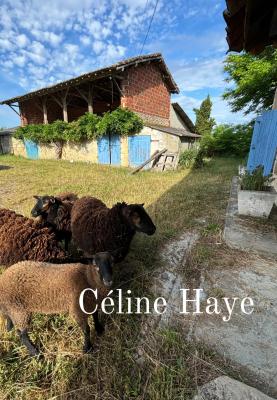 Vente Ferme Castéra-Verduzan - Réf. 9417  - Mandataire immobilier Céline Haye - image 3