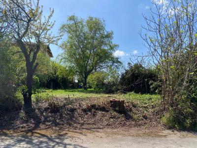 Terrain constructible 800 m²