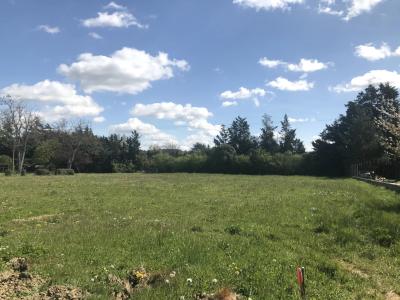 Terrain constructible 914 m²