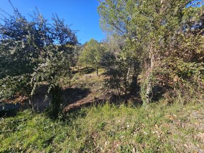 Terrain constructible 1300 m²