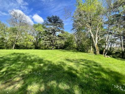 Vente Propriété Vic-Fezensac - Réf. 10690  - Mandataire immobilier Céline Haye - image 16