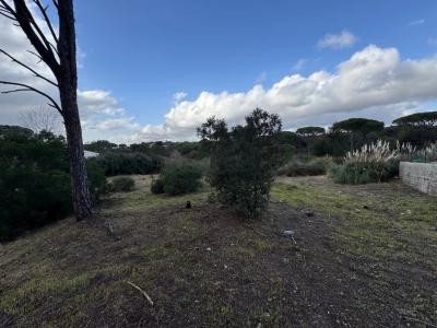 Vente Terrain constructible Fréjus - Réf. 10539  - Mandataire immobilier Johan Benguigui - image 2