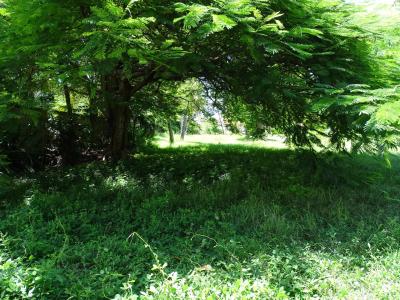 Sainte-Anne 97180 – Terrain