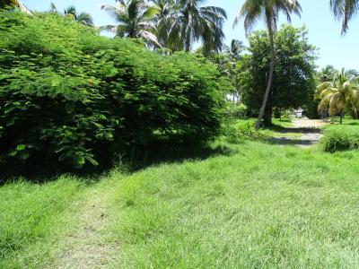 Sainte-Anne 97180 – Terrain