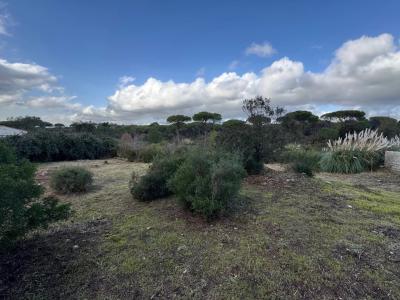 Vente Terrain constructible Fréjus - Réf. 10539  - Mandataire immobilier Johan Benguigui - image 3