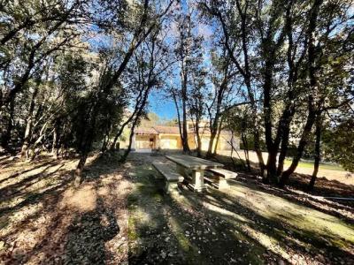Vente Propriété Besse-sur-Issole - Réf. 10387  - Mandataire immobilier Clairelise Perrier - image 15