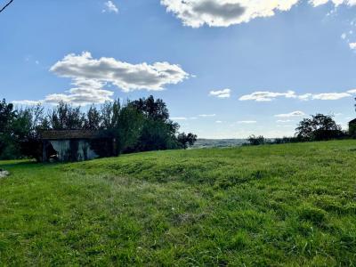 Vente Ferme Gondrin - Réf. 9848  - Mandataire immobilier Céline Haye - image 11