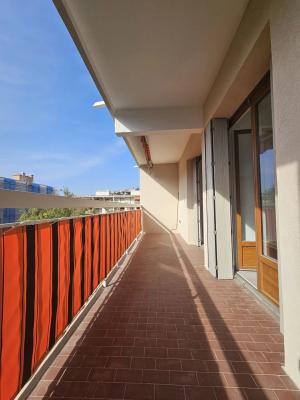 Studio 33.38 m²