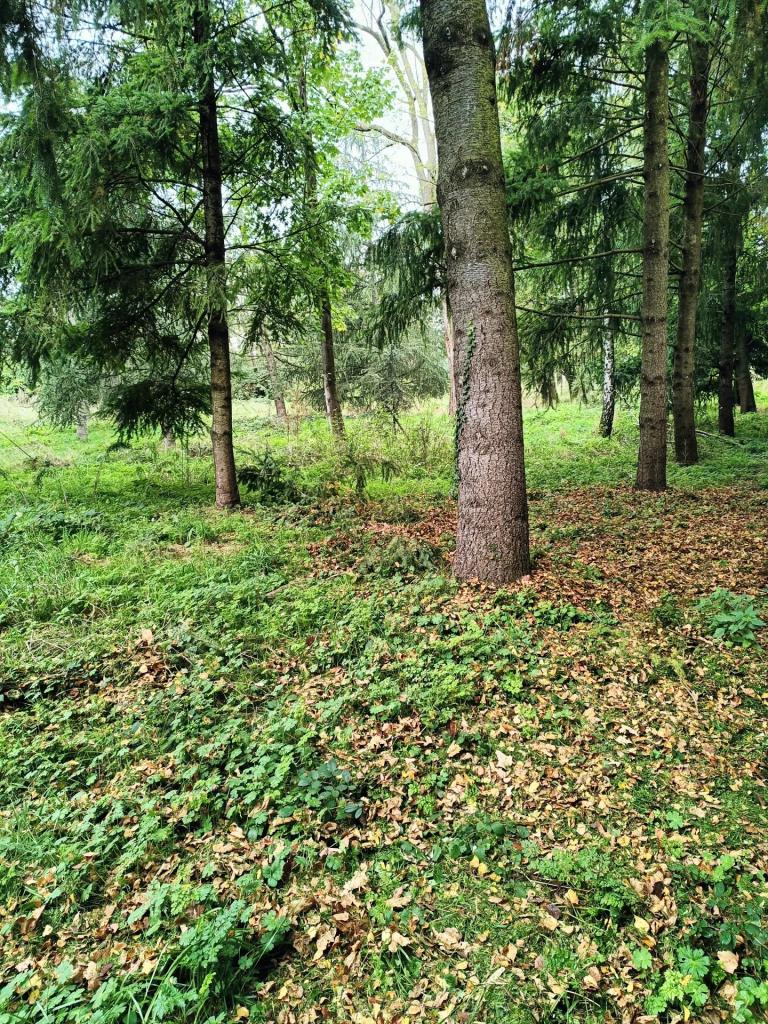 Saint-Priest-en-Jarez 42270 – Terrain constructible