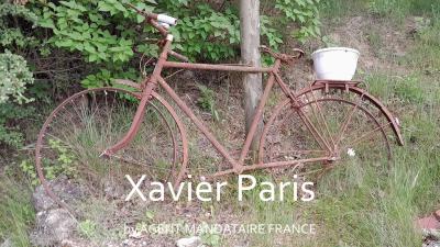 Vente Mas Vaugines - Réf. 9331  - Mandataire immobilier Xavier Paris - image 18