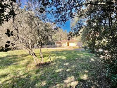 Vente Propriété Besse-sur-Issole - Réf. 10387  - Mandataire immobilier Clairelise Perrier - image 3