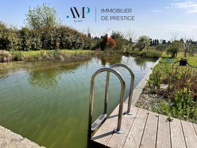 L'Isle-sur-la-Sorgue 84800 – Mas