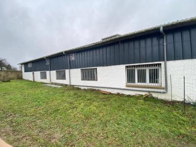 Vente Hangar Cléguérec - Réf. 10321  - Mandataire immobilier Julien Stil - image 2