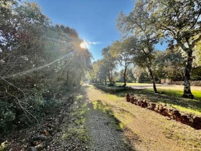 Vente Propriété Besse-sur-Issole - Réf. 10387  - Mandataire immobilier Clairelise Perrier - image 2