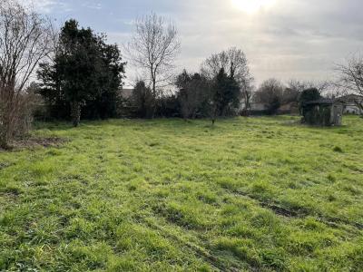 Vente Terrain constructible Saint-Hippolyte - Réf. 10602  - Mandataire immobilier Bruno Duval - image 2