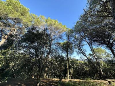 Roquebrune-sur-Argens 83520 – Maison