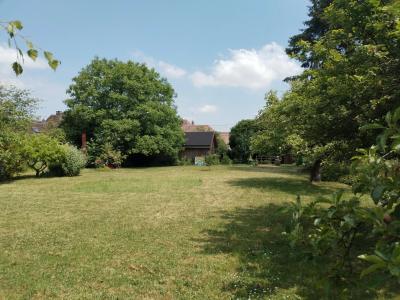 Vente Maison Villebéon - Réf. 10737  - Mandataire immobilier Marie Butet - image 2