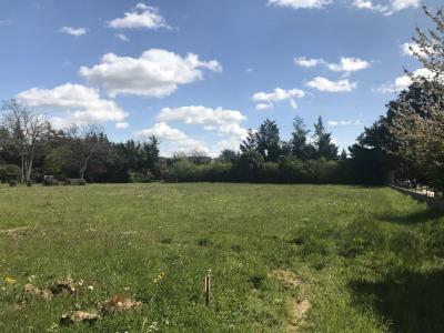 Vente Terrain constructible Le Fauga - Réf. 9450  - Mandataire immobilier Catalina Gutierrez - image 2