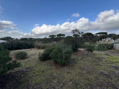 Vente Terrain constructible Fréjus - Réf. 10539  - Mandataire immobilier Johan Benguigui - image 4