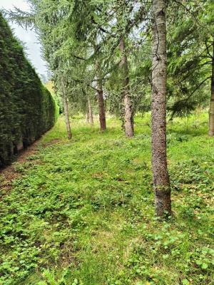 Saint-Priest-en-Jarez 42270 – Terrain constructible