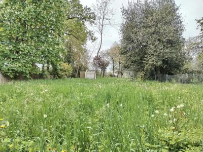 Vente Grange La Selle-sur-le-Bied - Réf. 9312  - Mandataire immobilier Marie Butet - image 5