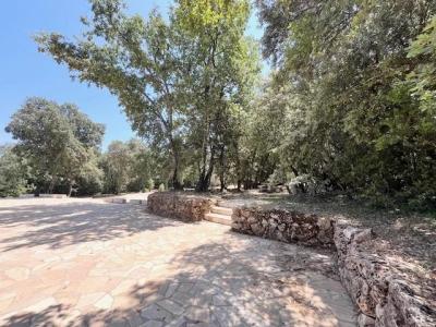 Vente Propriété Besse-sur-Issole - Réf. 10387  - Mandataire immobilier Clairelise Perrier - image 14