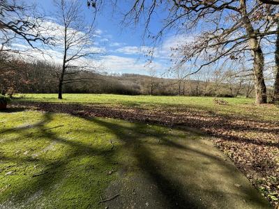 Vente Ferme Eauze - Réf. 10500  - Mandataire immobilier Céline Haye - image 14
