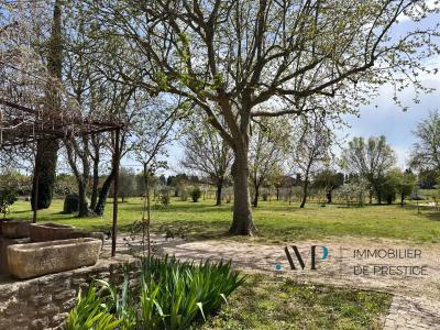 L'Isle-sur-la-Sorgue 84800 – Mas