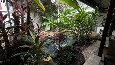 Vente Maison de ville Cayenne - Réf. 10756  - Mandataire immobilier Philippe Le Roux - image 2