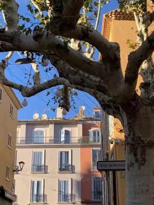 Vente Appartement Fréjus - Réf. 10297  - Mandataire immobilier Caroline Gibeaux - image 3