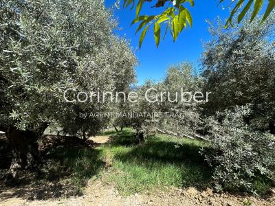 Vente Propriété Champtercier - Réf. 9557  - Mandataire immobilier Corinne Gruber - image 30