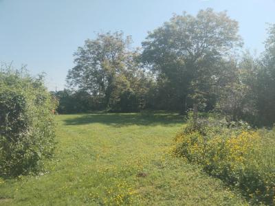 Vente Maison Bussy-le-Repos - Réf. 10996  - Mandataire immobilier Marie Butet - image 16