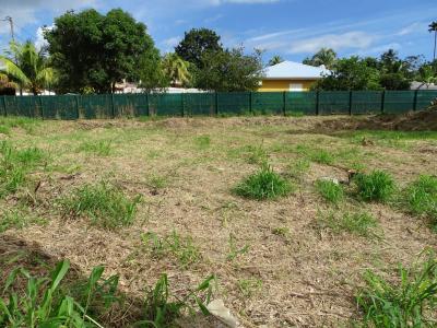 Vente Terrain Petit-Bourg - Réf. 10434  - Mandataire immobilier Fred Ernest - image 2